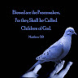 Meet your Posher, Gwen